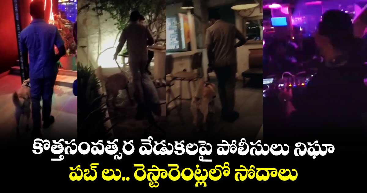 కొత్తసంవత్సర వేడుకలపై పోలీసులు నిఘా.. పబ్ లు.. రెస్టారెంట్లలో సోదాలు