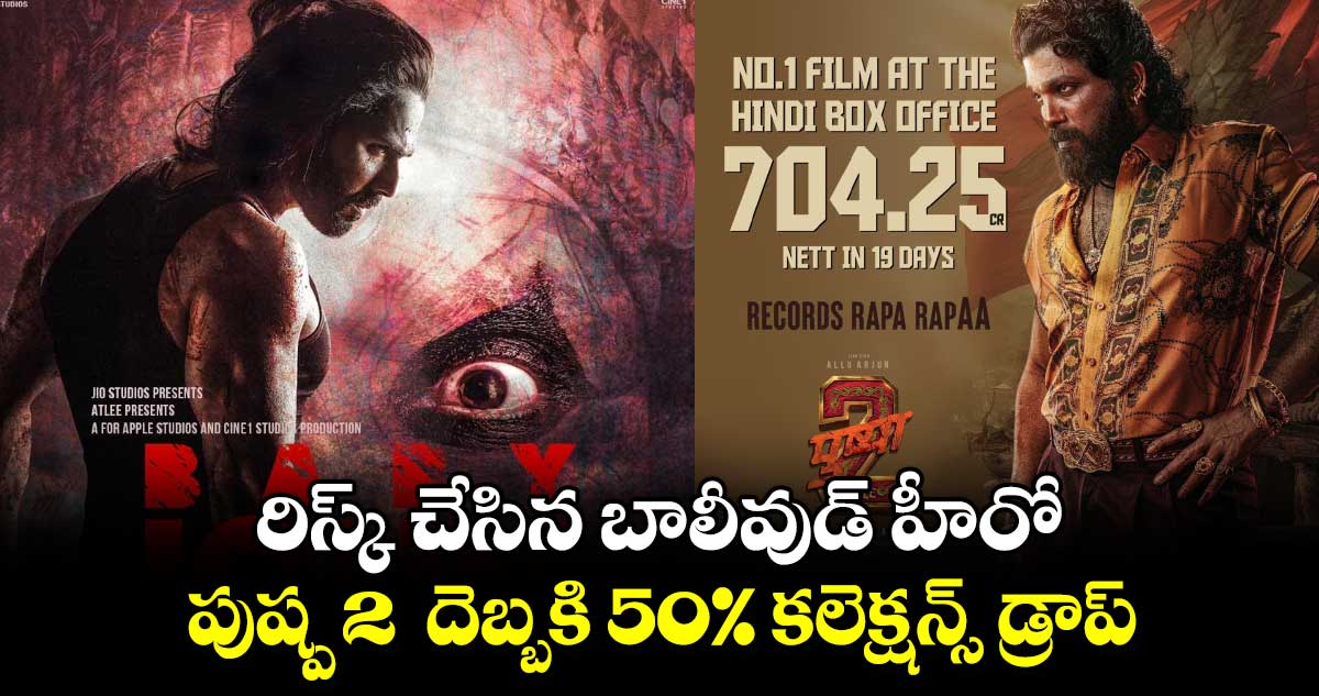 Baby John Day 2 Collections: రిస్క్ చేసిన బాలీవుడ్ హీరో..  పుష్ప 2  దెబ్బకి 50% డ్రాప్ అయిన కలెక్షన్స్.. 