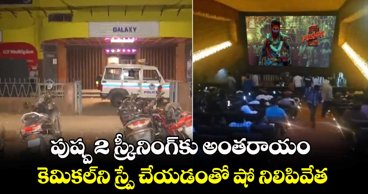 Pushpa 2:  పుష్ప 2 స్క్రీనింగ్‌కు అంతరాయం..కెమికల్⁬ని స్ప్రే చేయడంతో షో నిలిపివేత.. ఎక్కడంటే? 