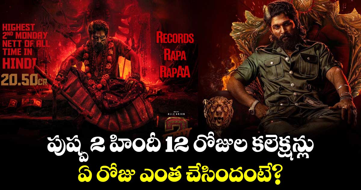 WildFirePushpa: పుష్ప 2 హిందీ 12 రోజుల బాక్సాఫీస్ కలెక్షన్లు.. ఏ రోజు ఎంత చేసిందంటే?