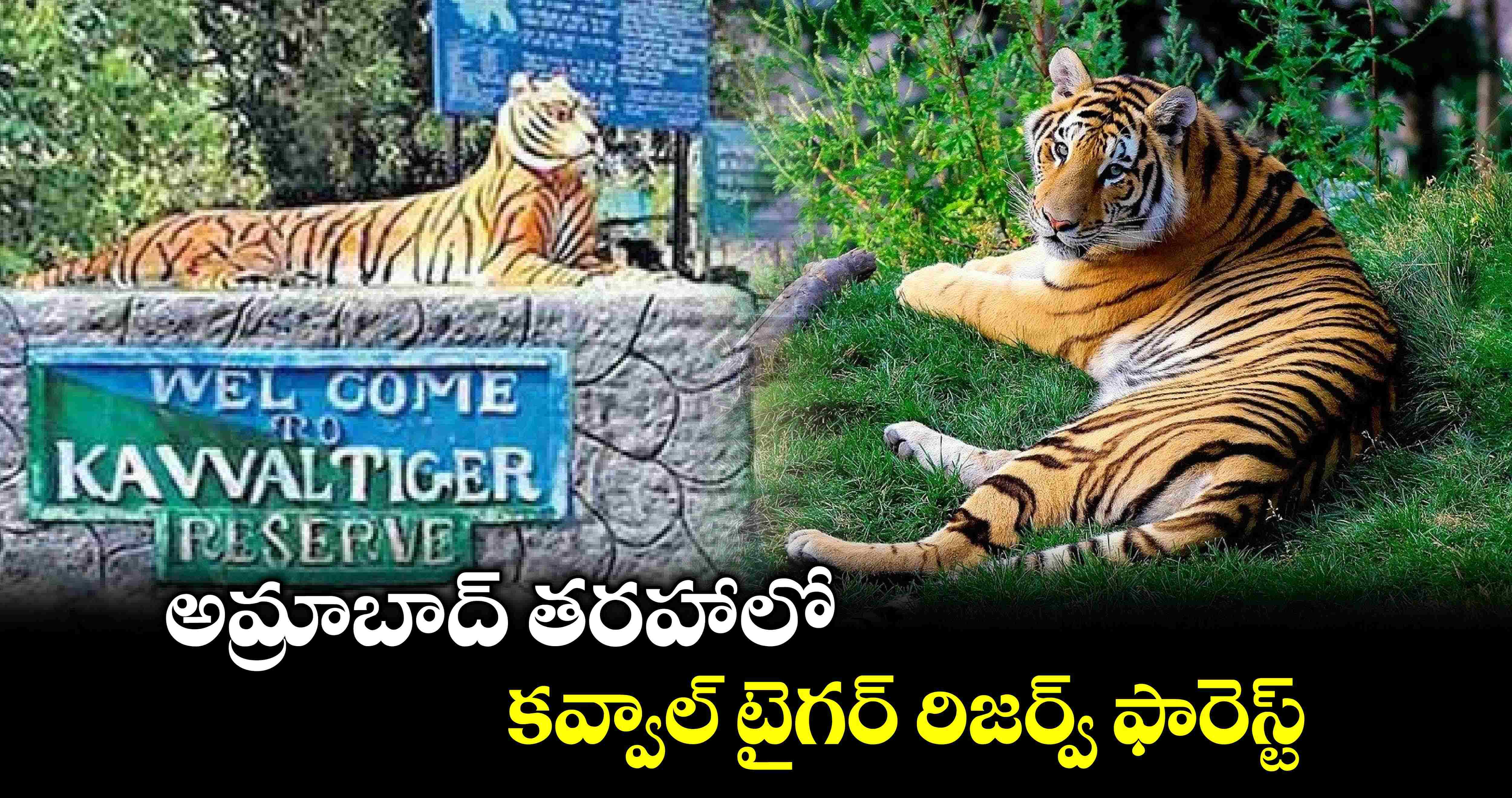 అమ్రాబాద్ తరహాలో కవ్వాల్‌‌ టైగర్‌‌ రిజర్వ్ ఫారెస్ట్