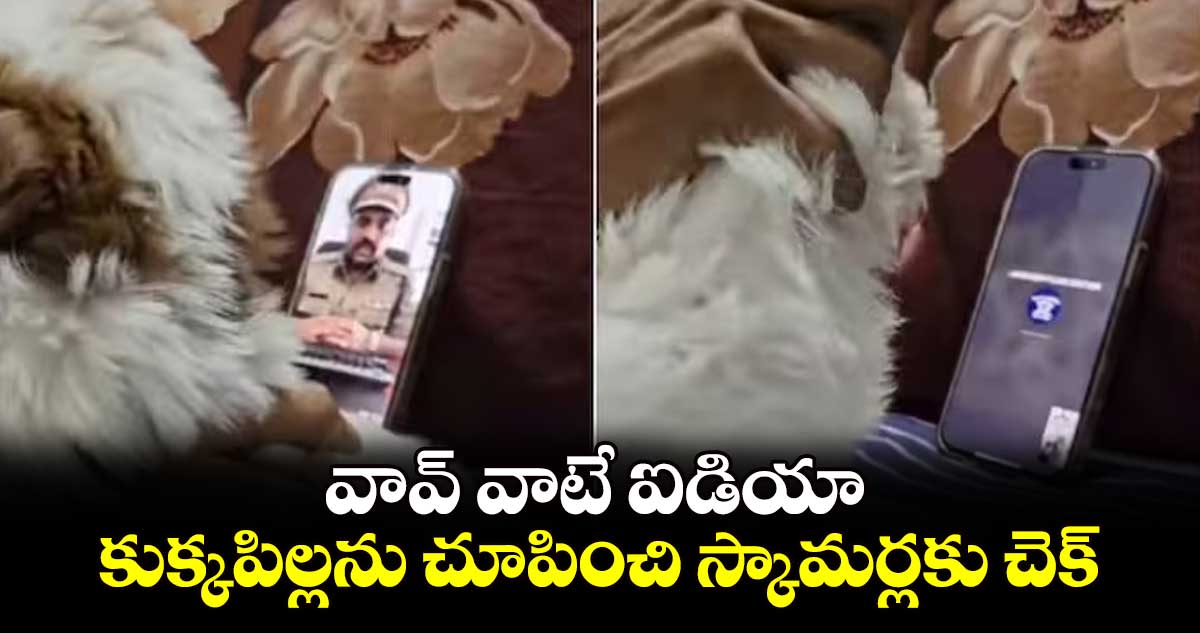 వావ్ వాటే ఐడియా.. కుక్కపిల్లను చూపించి స్కామర్లకు చెక్