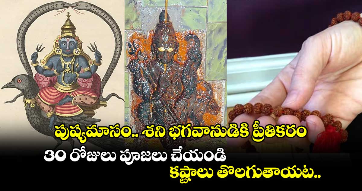  పుష్యమాసం.. శని భగవానుడికి ప్రీతికరం.. 30 రోజులు పూజలు చేయండి.. కష్టాలు తొలగుతాయట..