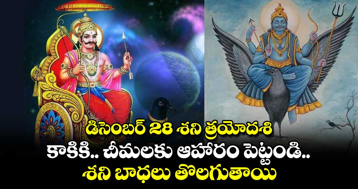 డిసెంబర్ 28 శని త్రయోదశి:  కాకికి.. చీమలకు ఆహారం పెట్టండి.. శని బాధలు తొలగుతాయి..