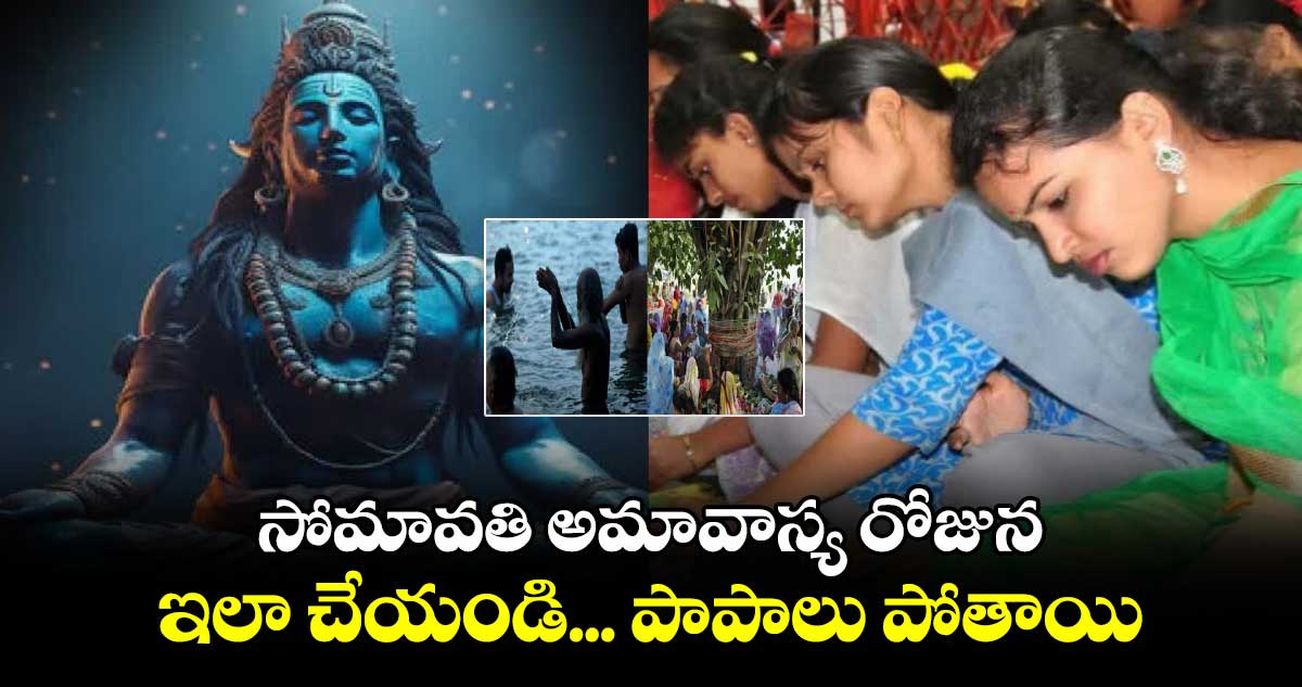 సోమావతి అమావాస్య రోజున ..ఇలా చేయండి...  పాపాలు పోతాయి