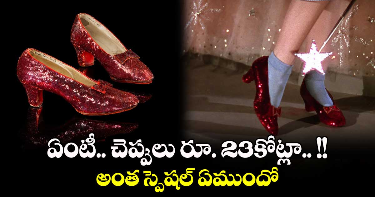 ఏంటీ.. చెప్పులు రూ. 23కోట్లా.. !! అంత స్పెషల్ ఏముందో.. 