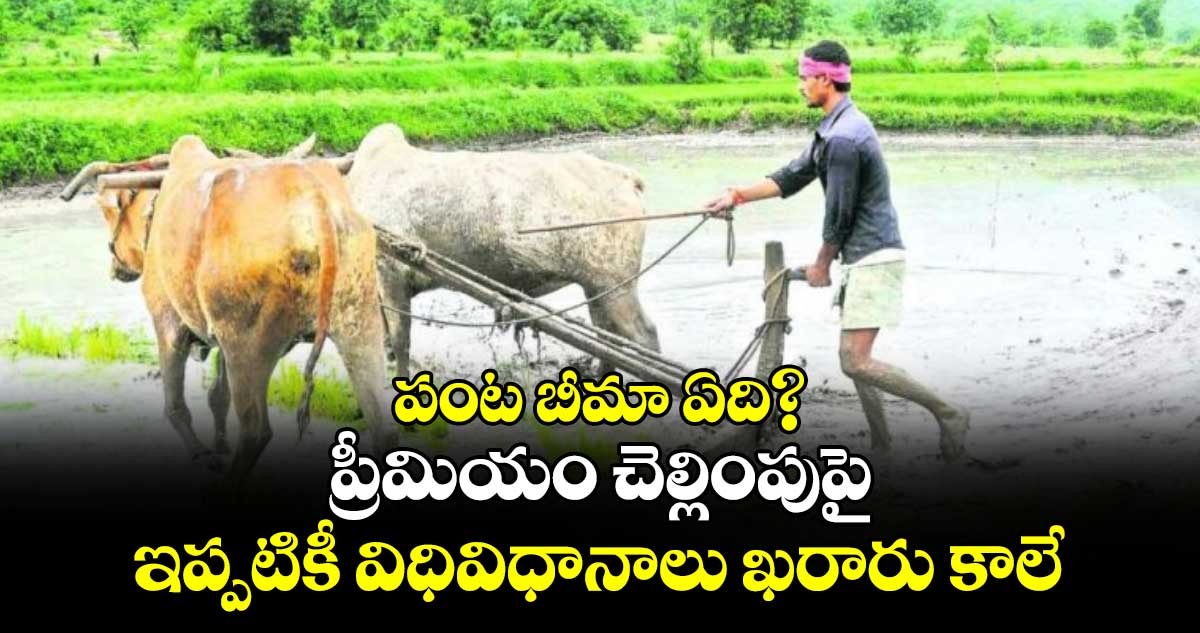 పంట బీమా ఏది? ప్రీమియం చెల్లింపుపై ఇప్పటికీ విధివిధానాలు ఖరారు కాలే