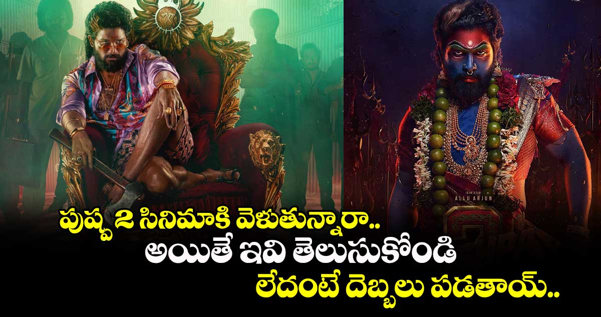 Pushpa 2: The Rule: పుష్ప 2 సినిమాకి వెళుతున్నారా.. అయితే ఇవి తెలుసుకోండి.. లేదంటే దెబ్బలు పడతాయ్..