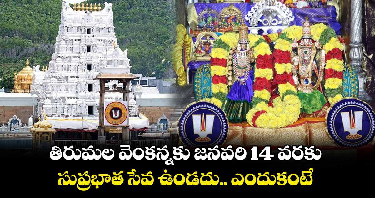 తిరుమల వెంకన్నకు జనవరి 14 వరకు సుప్రభాత సేవ ఉండదు.. ఎందుకంటే