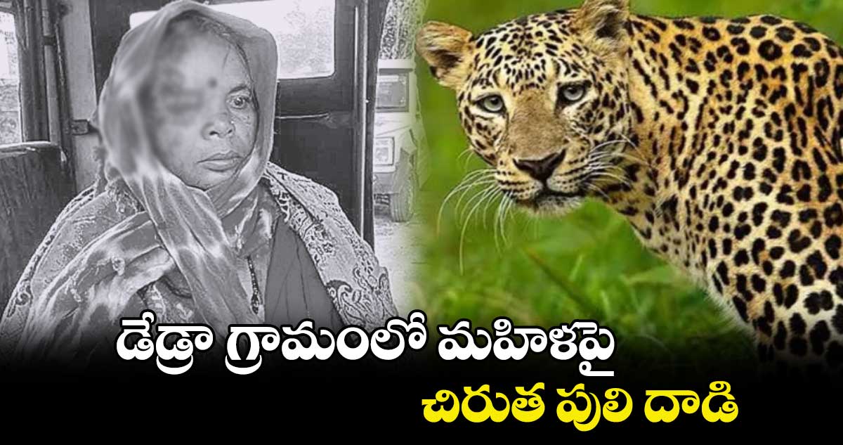 డేడ్రా గ్రామంలో మహిళపై చిరుత పులి దాడి