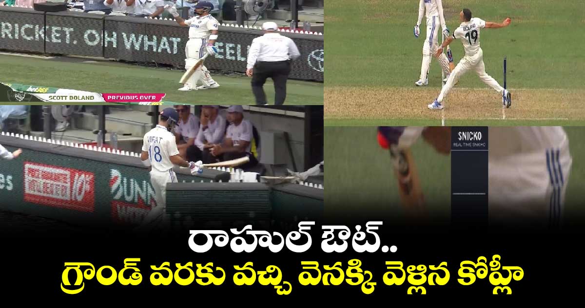 AUS vs IND: రాహుల్ ఔట్.. గ్రౌండ్‌ వరకు వచ్చి వెనక్కి వెళ్లిన కోహ్లీ