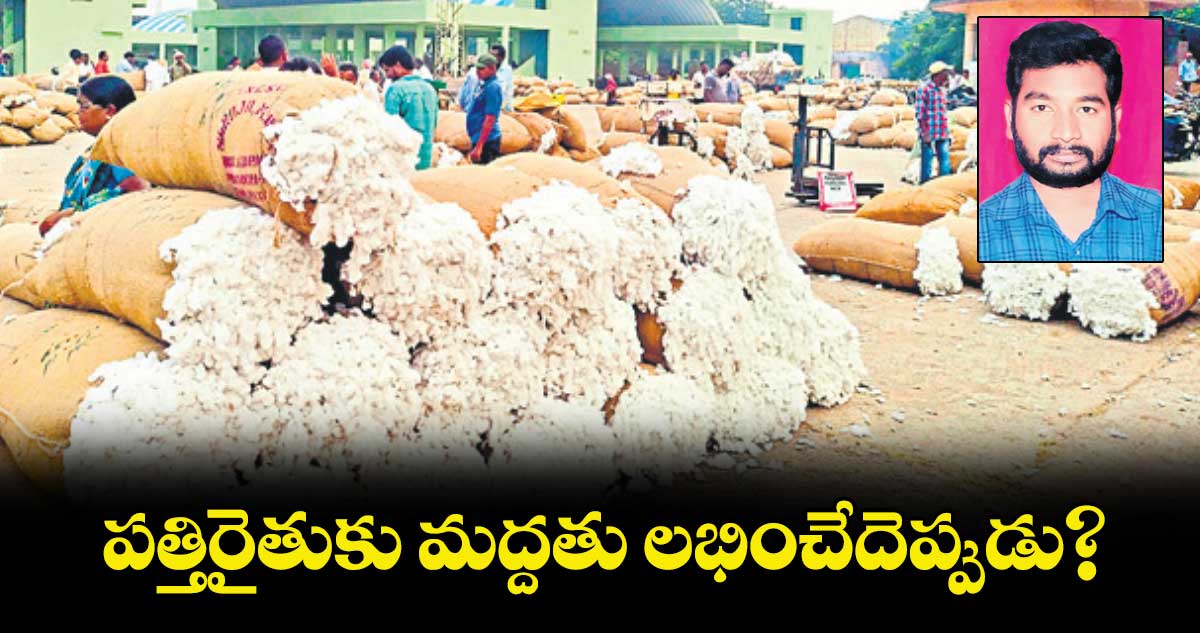 పత్తిరైతుకు మద్దతు లభించేదెప్పుడు?