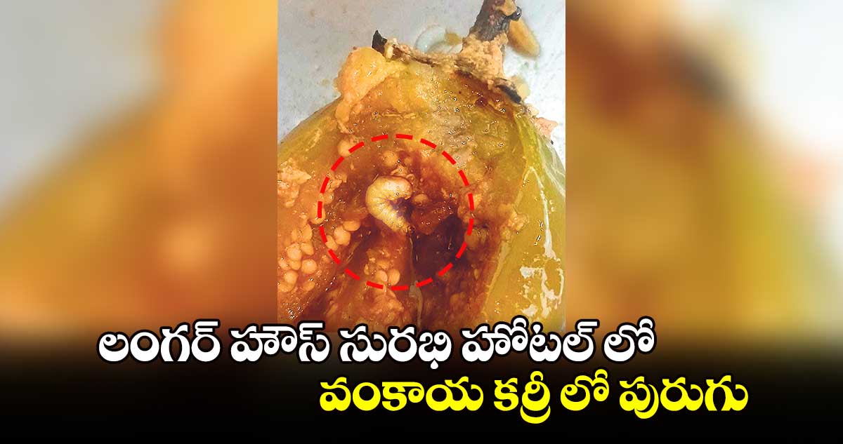 లంగర్ హౌస్ సురభి హోటల్ లో .. వంకాయ కర్రీ లో పురుగు