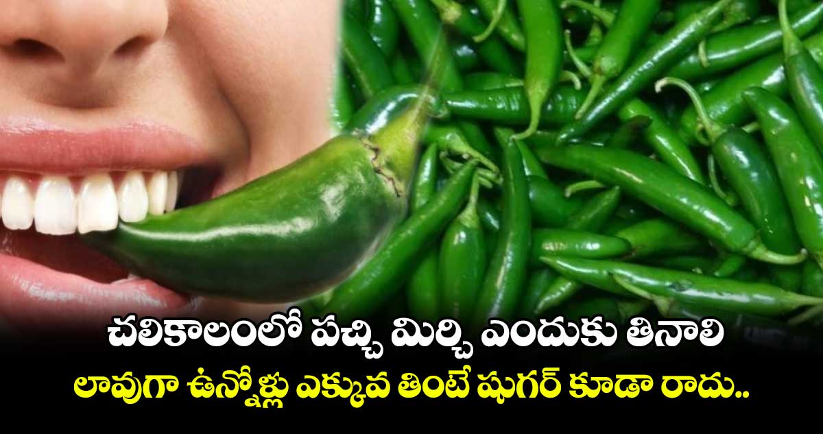 Good Health : చలికాలంలో పచ్చి మిర్చి ఎందుకు తినాలి.. లావుగా ఉన్నోళ్లు ఎక్కువ తింటే షుగర్ కూడా రాదు..! 