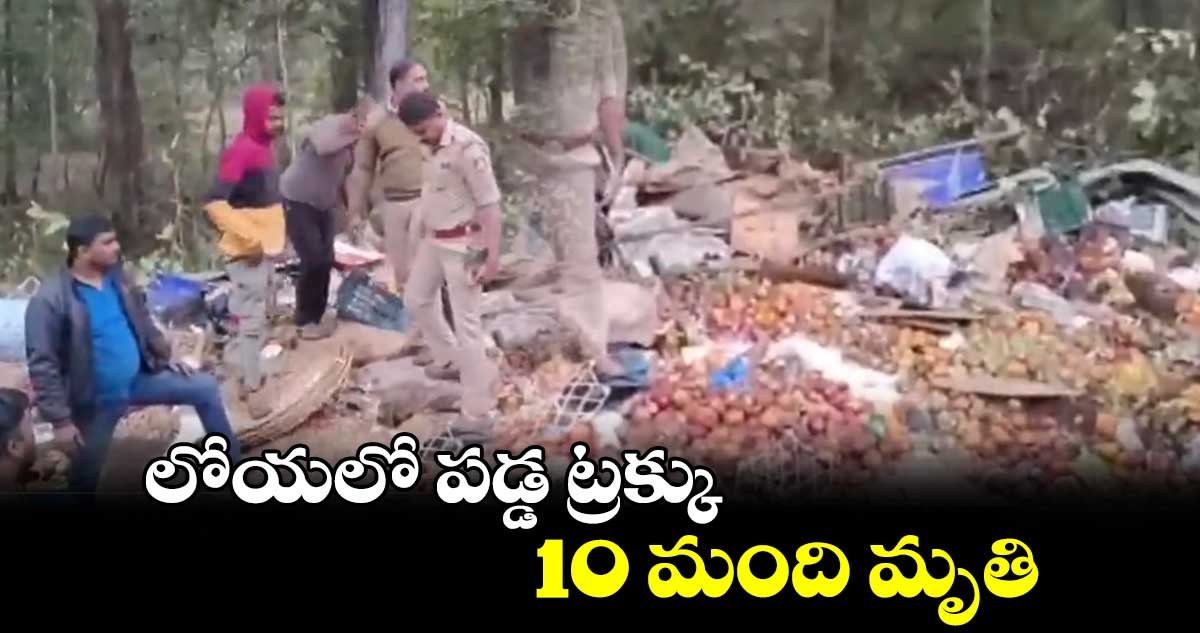 కర్ణాటక లోయలో పడ్డ ట్రక్కు..10 మంది మృతి