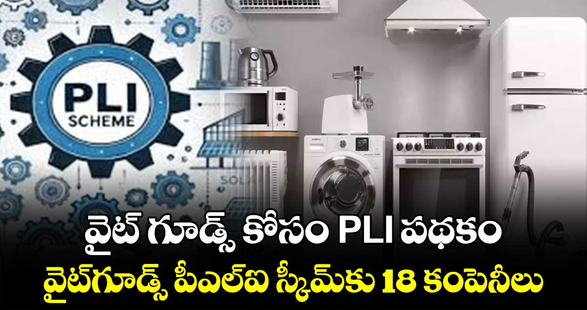 వైట్ గూడ్స్ కోసం PLI పథకం : వైట్​గూడ్స్​ పీఎల్​ఐ స్కీమ్​కు 18 కంపెనీలు