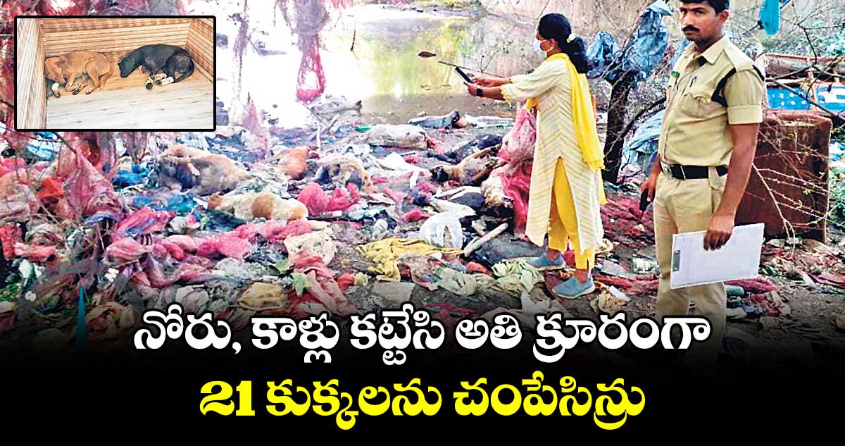 నోరు, కాళ్లు కట్టేసి అతి క్రూరంగా 21 కుక్కలను చంపేసిన్రు