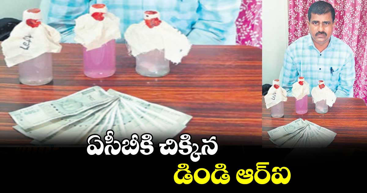 ఏసీబీకి చిక్కిన డిండి ఆర్ఐ