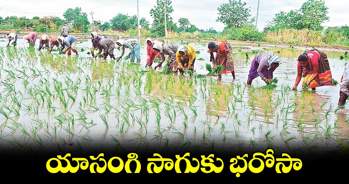 యాసంగి సాగుకు  భరోసా  