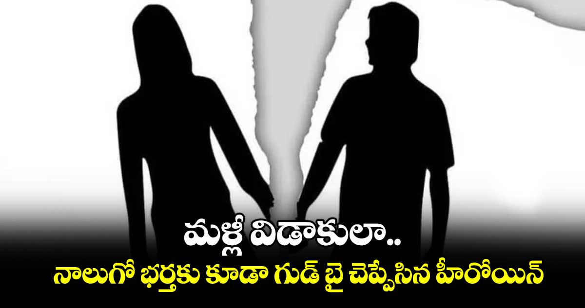 Celebrity Divorce: మళ్లీ విడాకులా.. నాలుగో భర్తకు కూడా గుడ్ బై చెప్పేసిన హీరోయిన్