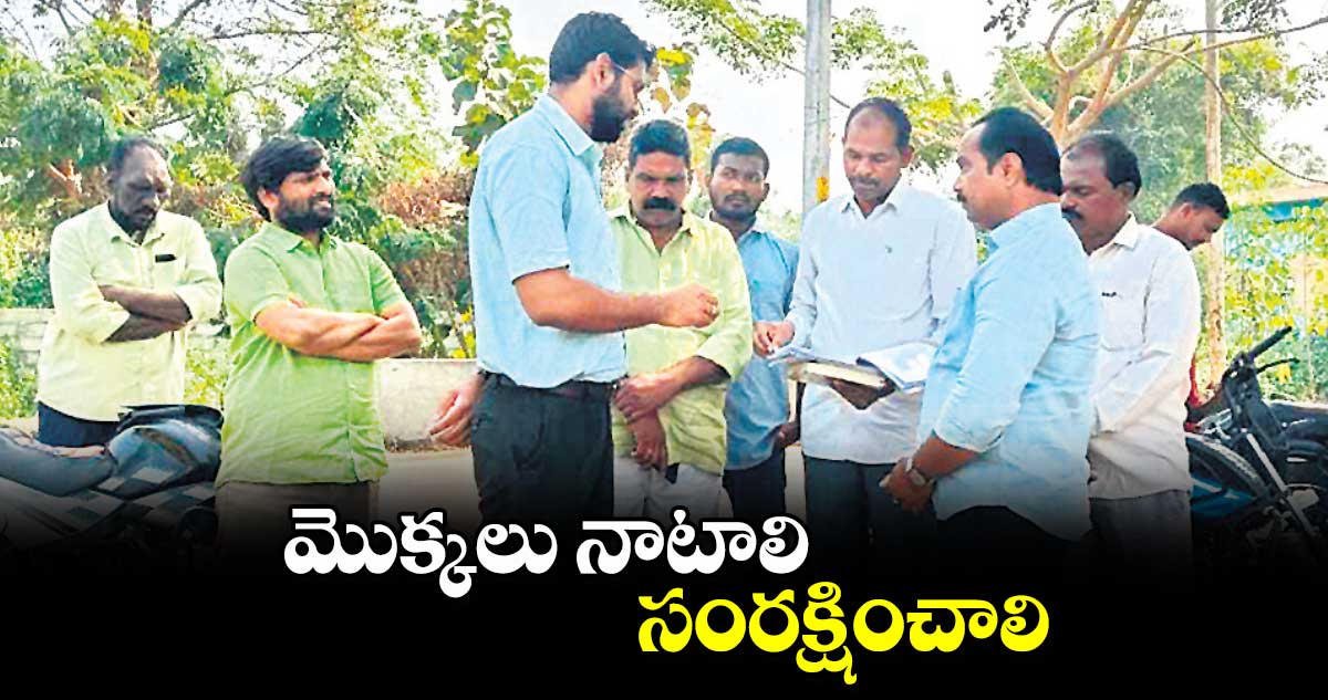 మొక్కలు నాటాలి..సంరక్షించాలి : కలెక్టర్ జితేశ్​