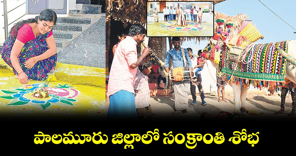 పాలమూరు జిల్లాలో సంక్రాంతి శోభ