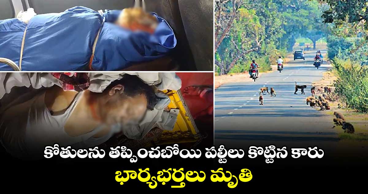 కోతులను తప్పించబోయి పల్టీలు కొట్టిన కారు.. భార్యభర్తలు మృతి