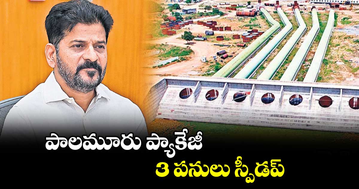 పాలమూరు ప్యాకేజీ 3 పనులు స్పీడప్ : సీఎం రేవంత్​రెడ్డి