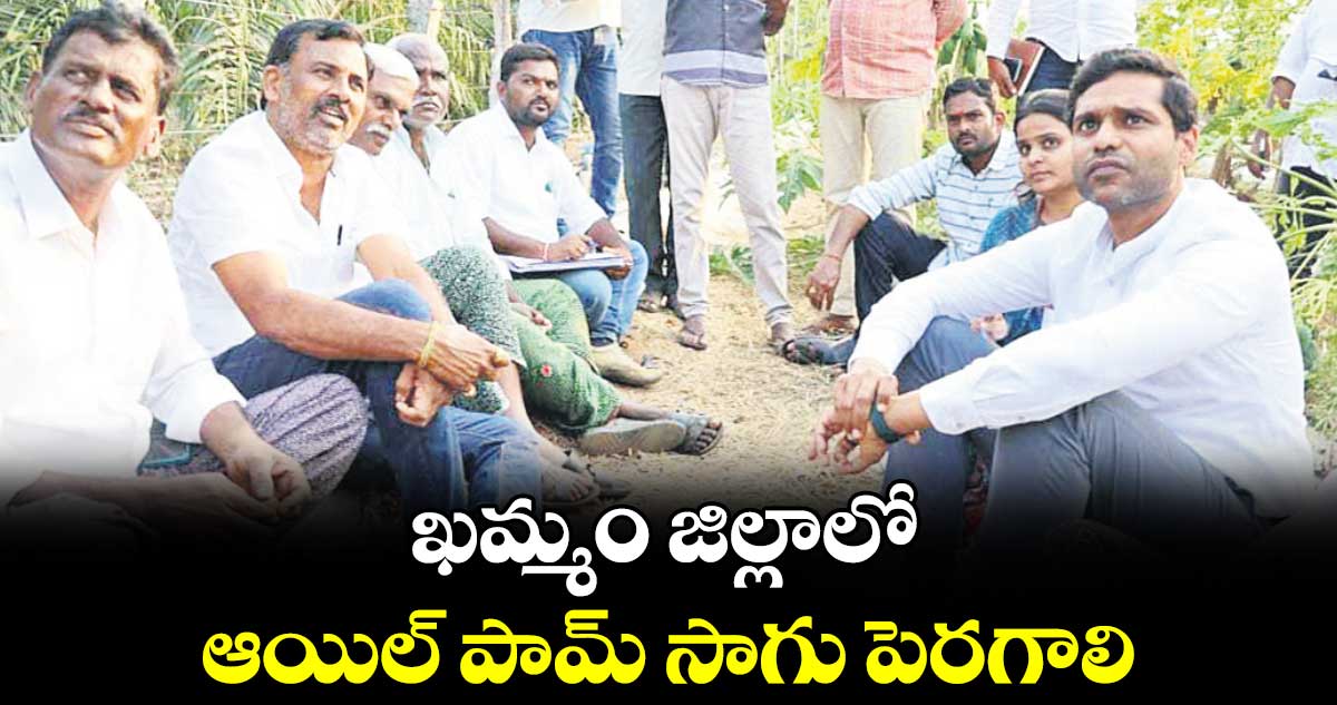 ఖమ్మం జిల్లాలో ఆయిల్ పామ్ సాగు పెరగాలి : కలెక్టర్​ ముజామ్మిల్​ఖాన్​ 