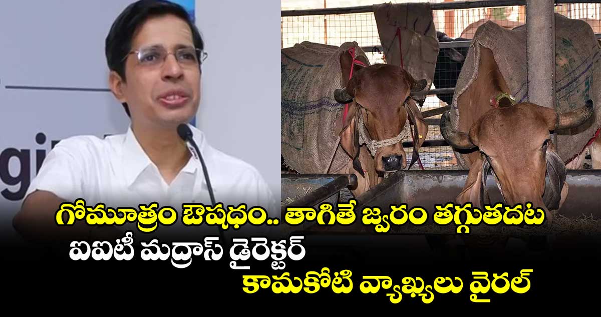  గోమూత్రం ఔషధం.. తాగితే జ్వరం తగ్గుతదట.. ఐఐటీ మద్రాస్ డైరెక్టర్ కామకోటి వ్యాఖ్యలు వైరల్