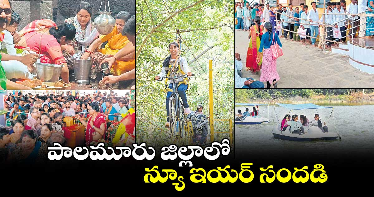 పాలమూరు జిల్లాలో న్యూ ఇయర్​ సందడి