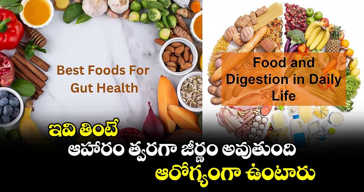 Good Health:ఇవి తింటే  ఆహారం త్వరగా జీర్ణం అవుతుంది .. ఆరోగ్యంగా ఉంటారు..