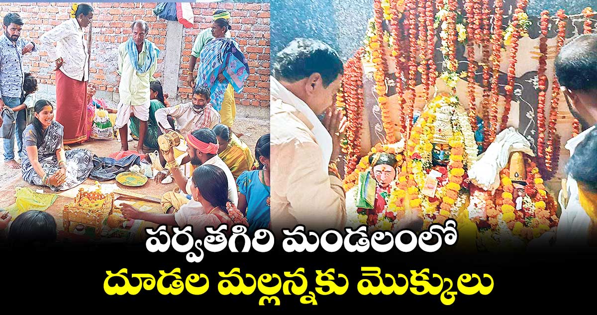 పర్వతగిరి మండలంలో దూడల మల్లన్నకు మొక్కులు