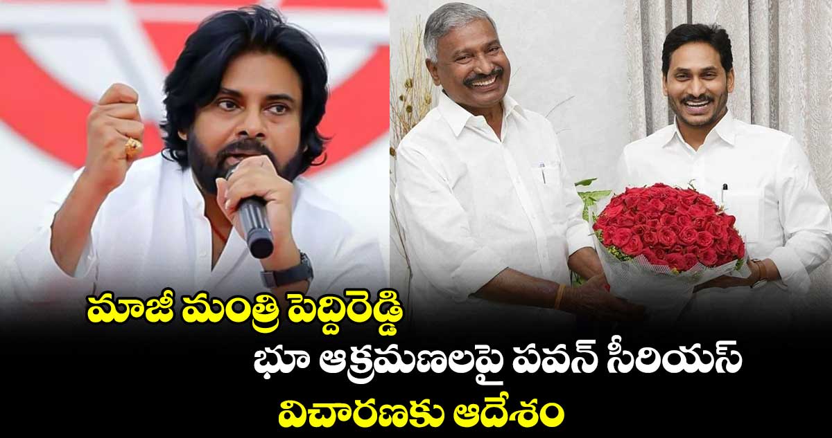 మాజీ మంత్రి పెద్దిరెడ్డి భూ ఆక్రమణలపై పవన్‌ సీరియస్.. విచారణకు ఆదేశం