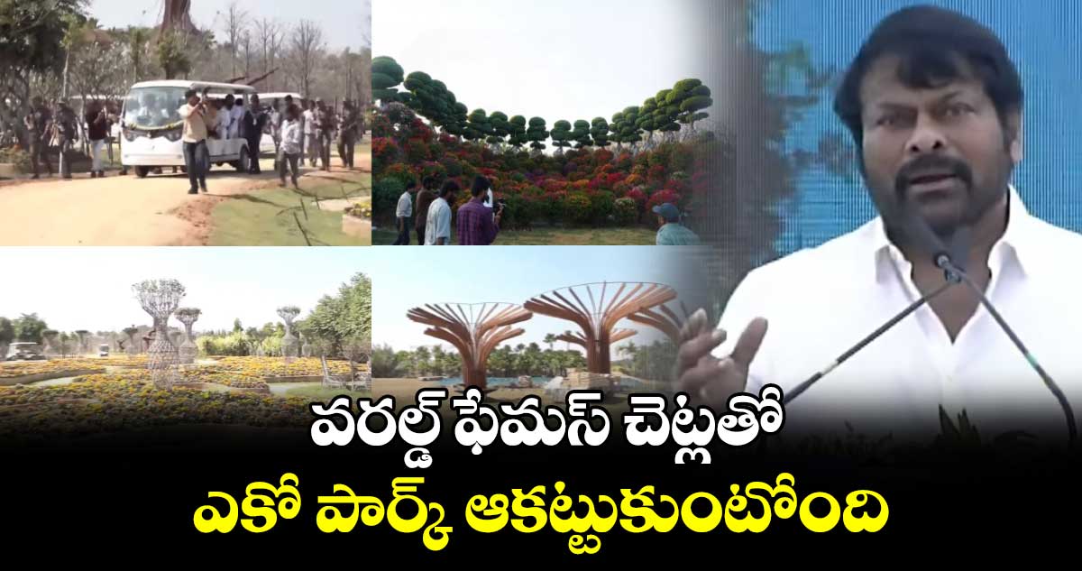 వరల్డ్ ఫేమస్ చెట్లతో ఎకో పార్క్ ఆకట్టుకుంటోంది : సినీ నటుడు చిరంజీవి 