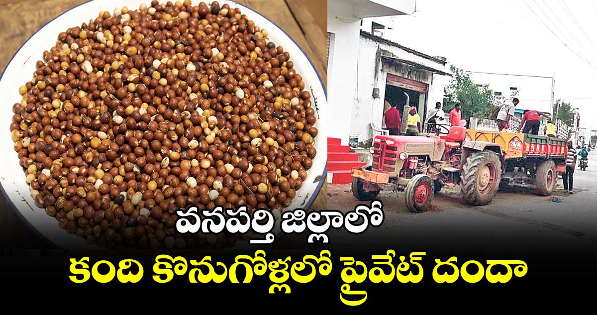 వనపర్తి జిల్లాలో .. కంది కొనుగోళ్లలో ప్రైవేట్‌‌‌‌ దందా