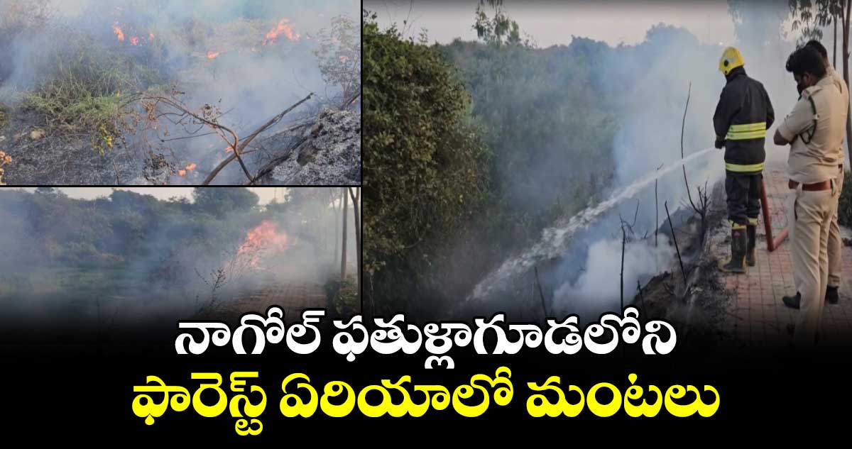 నాగోల్ ఫతుళ్లాగూడలోని ఫారెస్ట్ ఏరియా⁬లో మంటలు