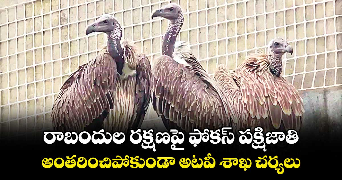 రాబందుల రక్షణపై ఫోకస్ పక్షిజాతి.. అంతరించిపోకుండా అటవీ శాఖ చర్యలు