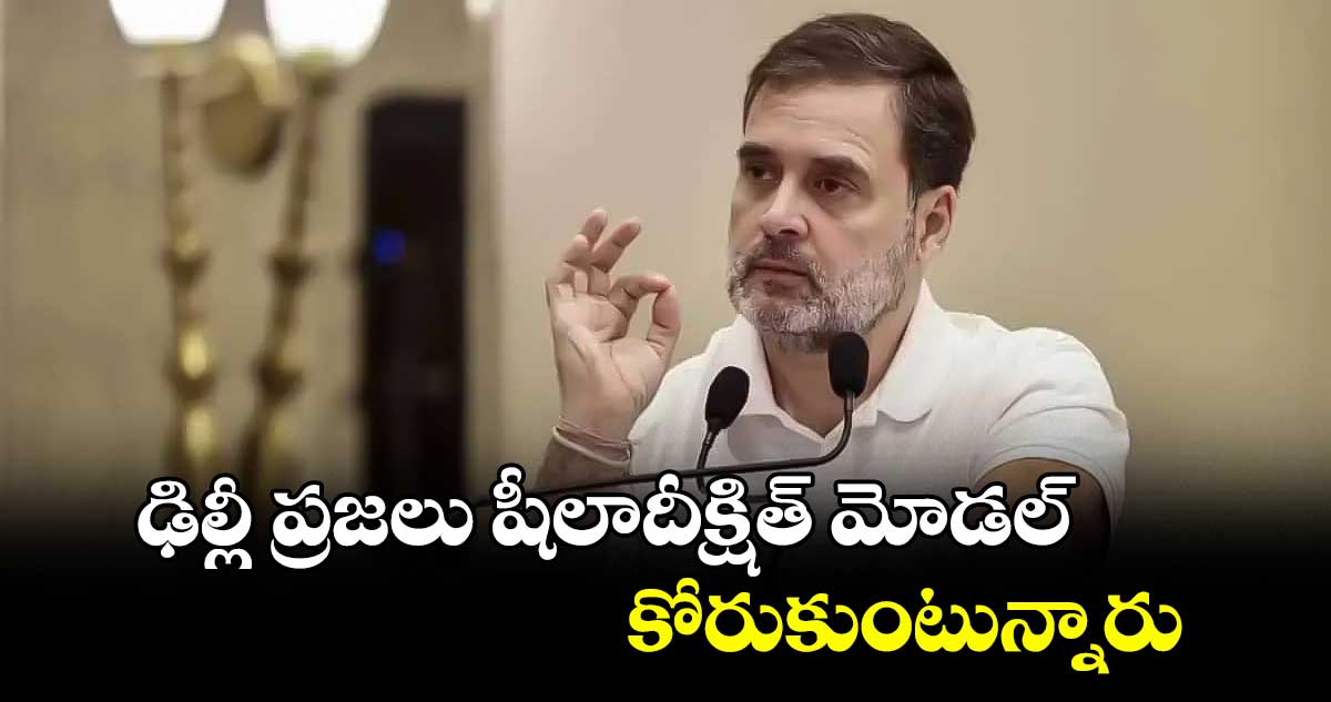 ఢిల్లీ ప్రజలు షీలాదీక్షిత్ మోడల్ కోరుకుంటున్నారు :రాహుల్ గాంధీ  