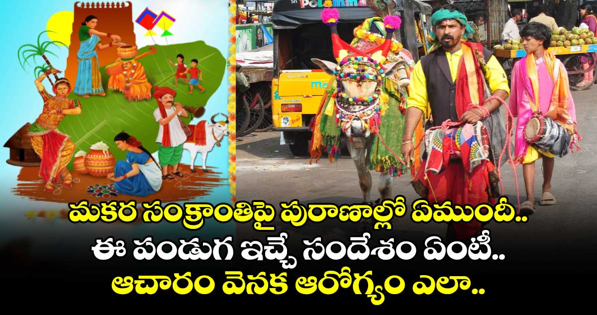 Sankranti Special : మకర సంక్రాంతిపై పురాణాల్లో ఏముందీ.. ఈ పండుగ ఇచ్చే సందేశం ఏంటీ.. ఆచారం వెనక ఆరోగ్యం ఎలా..!