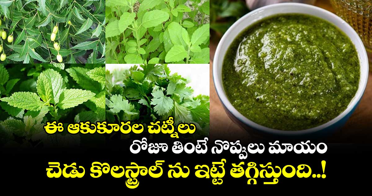 Good Food : ఈ ఆకుకూరల చట్నీలు.. రోజూ తింటే నొప్పులు మాయం.. చెడు కొలస్ట్రాల్ ను ఇట్టే తగ్గిస్తుంది..!