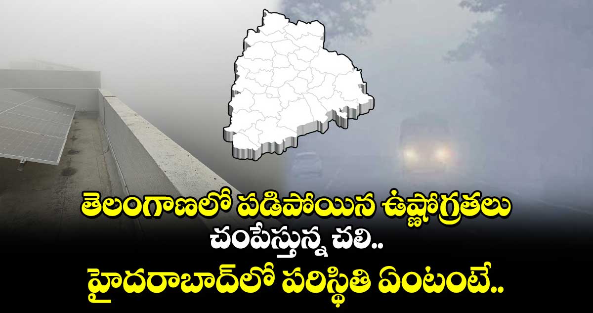 తెలంగాణలో పడిపోయిన ఉష్ణోగ్రతలు.. చంపేస్తున్న చలి.. హైదరాబాద్⁬లో పరిస్థితి ఏంటంటే..