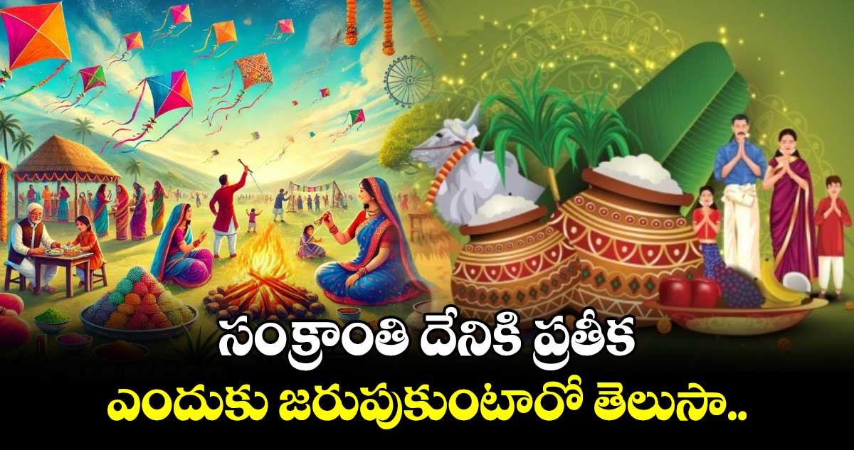 సంక్రాంతి దేనికి ప్రతీక.. ఎందుకు జరుపుకుంటారో తెలుసా.. 