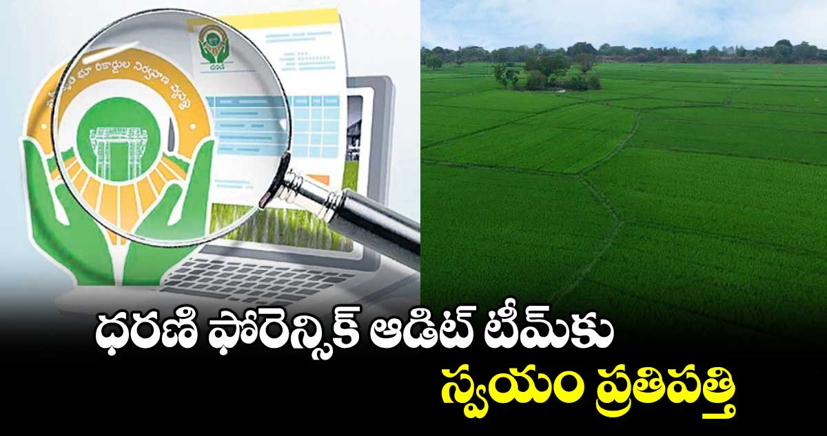 ధరణి ఫోరెన్సిక్ ​ఆడిట్ టీమ్​కు స్వయం ప్రతిపత్తి