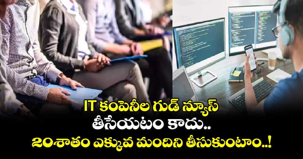 IT కంపెనీల గుడ్ న్యూస్:తీసేయటం కాదు..20శాతం ఎక్కువ మందిని తీసుకుంటాం..!