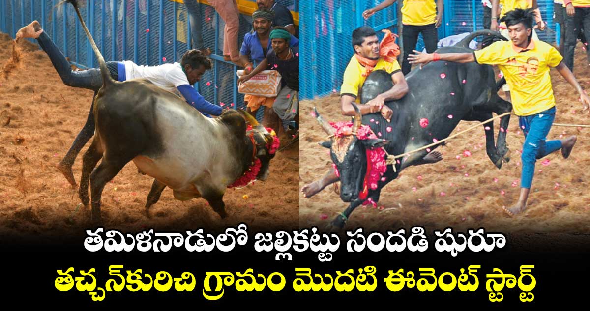 తమిళనాడులో జల్లికట్టు సందడి షురూ.. తచ్చన్‌‌‌‌‌‌‌‌కురిచి గ్రామం మొదటి ఈవెంట్‌‌‌‌‌‌‌‌ స్టార్ట్