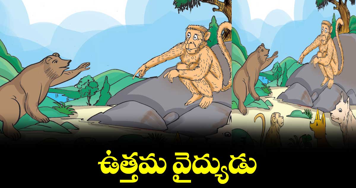 ఉత్తమ వైద్యుడు