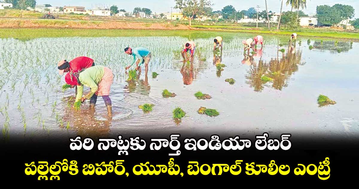 వరి నాట్లకు..నార్త్​ ఇండియా లేబర్..పల్లెల్లోకి బిహార్, యూపీ, బెంగాల్​ కూలీల ఎంట్రీ