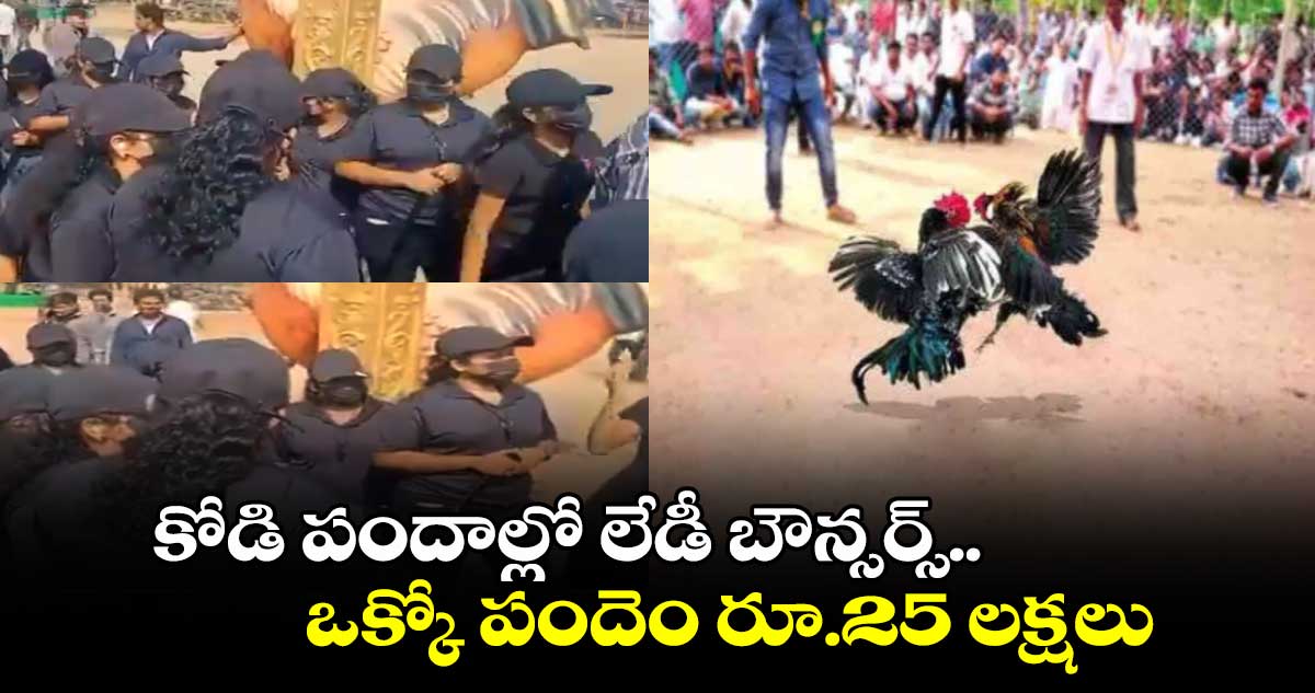 కోడి పందాల్లో లేడీ బౌన్సర్స్.. ఒక్కో పందెం రూ.25 లక్షలు