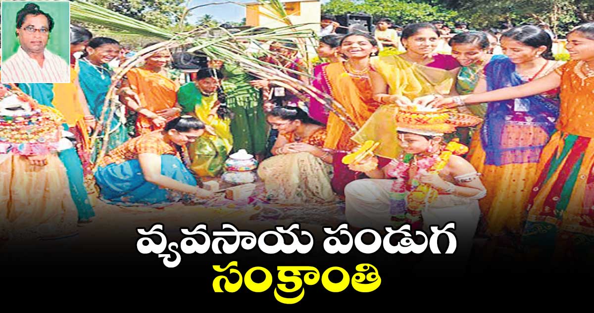 వ్యవసాయ పండుగ సంక్రాంతి